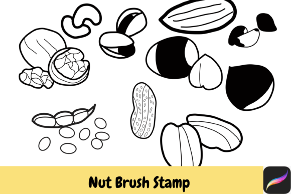Download Nut Grain Procreate Brush Stamps IPAD - Ipad Collection